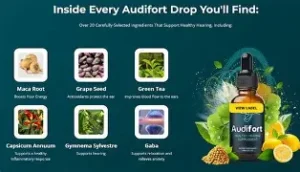 Audifort Review